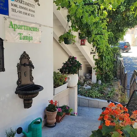 Apartmán Tanja Živogošće